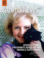 AnimalNEWS 22.2