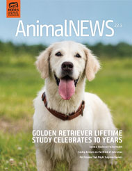 AnimalNEWS 22.3