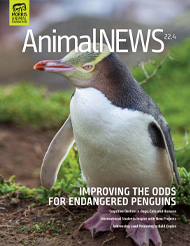 AnimalNEWS 22.4