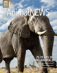 AnimalNEWS 23.1