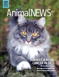 AnimalNEWS 23.2