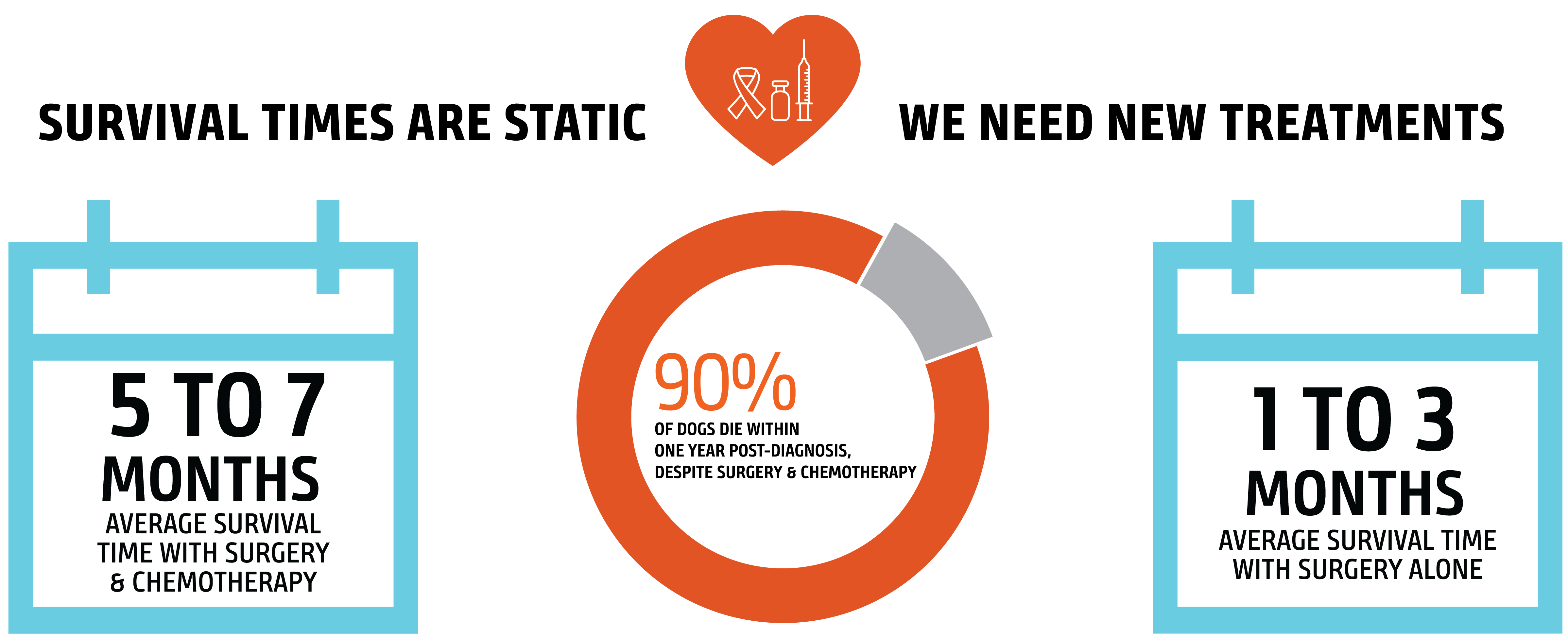 Survival times are static. We need new treatments. 1. The average survival time with surgery & chemotherapy is 5 to 7 months. 2. 90% of dogs die within one year post-diagnosis, despite surgery & chemotherapy. 3. The average survival time with surgery alone is 1 to 3 months.