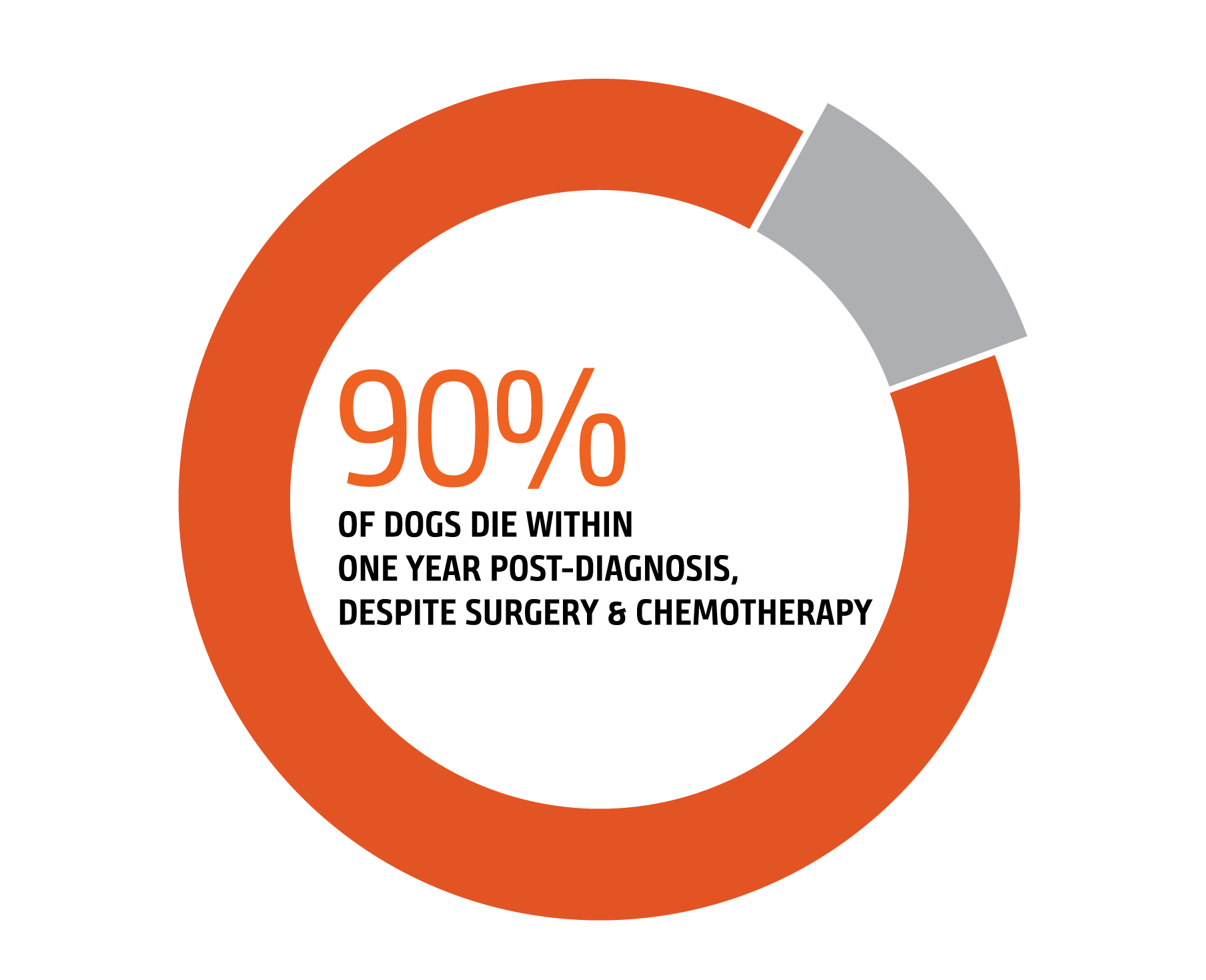90% of dogs die within one year post-diagnosis, despite surgery & chemotherapy.