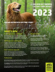 2023 Report: Golden Retriever Lifetime Study