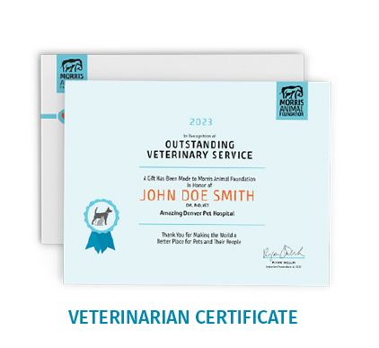 Vet Certificate