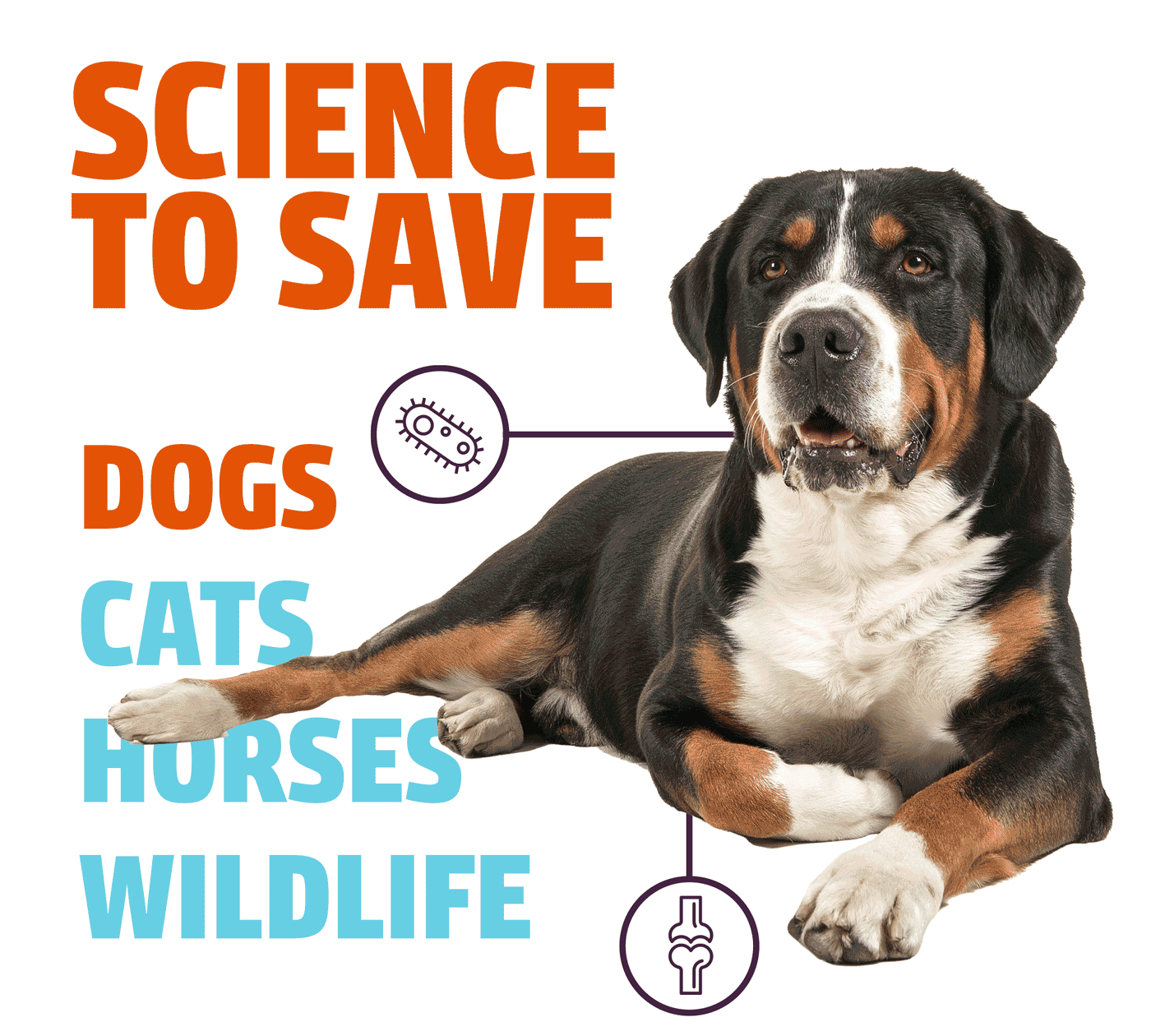 Science to Save Dogs, Science to Save Cats, Science to Save Horses, Science to Save Wildlife