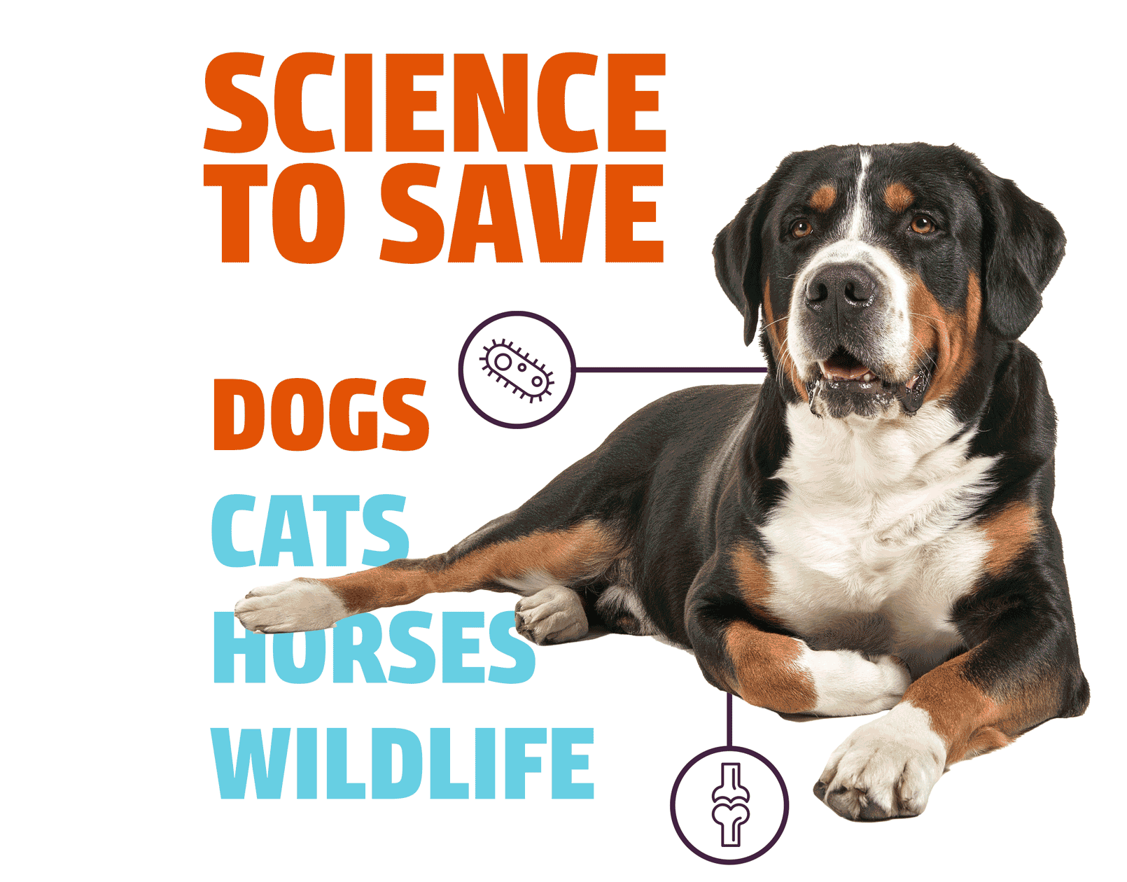 Science to Save Dogs, Science to Save Cats, Science to Save Horses, Science to Save Wildlife