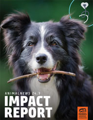 AnimalNEWS 24.3