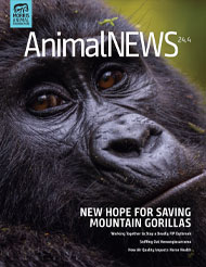 AnimalNEWS 24.4