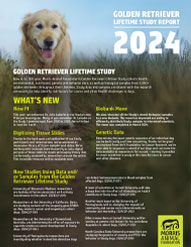 2024 Report: Golden Retriever Lifetime Study