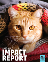 AnimalNEWS 24.4