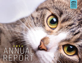 2024 ANNUAL REPORT
