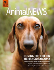 AnimalNEWS 25.2