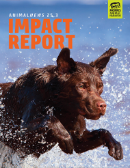 AnimalNEWS 25.3