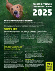 2025 Report: Golden Retriever Lifetime Study