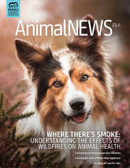 AnimalNEWS 25.4