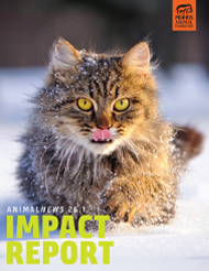 AnimalNEWS 26.1