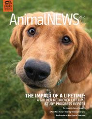 AnimalNEWS 26.2