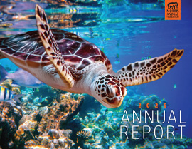 2025 ANNUAL REPORT
