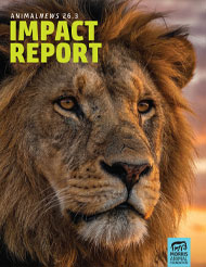 AnimalNEWS 26.3