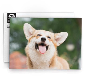 Corgi Honor Card