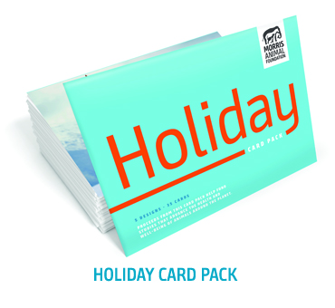 Holiday Card Pack
