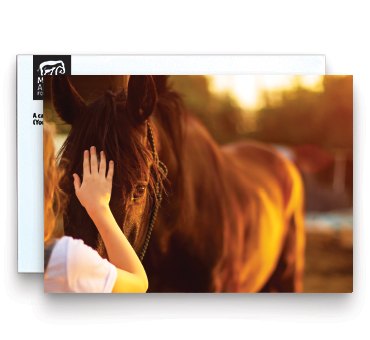 Horse Image Memorial Card
