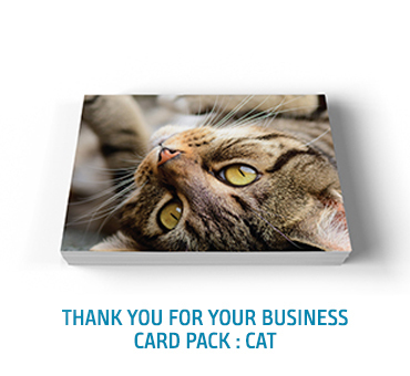 Thank You for Your Business Pack: Cat