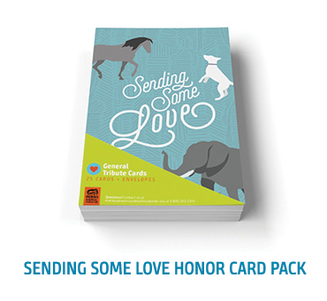 Sending Some Love Honor Card Pack
