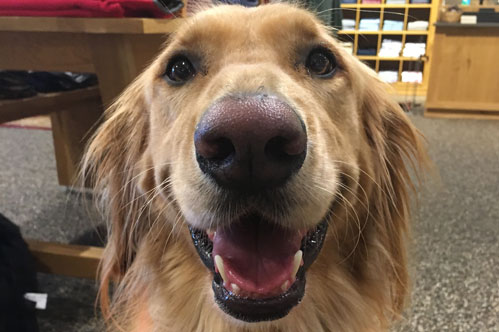 Ms. Max