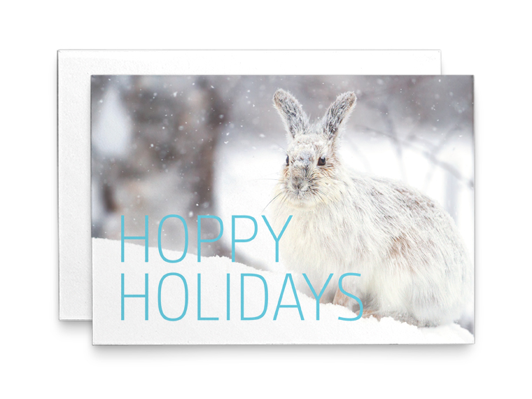 Holiday Card Wildlife