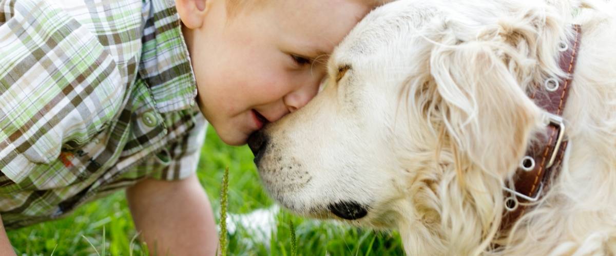 small child and puppy play in the grass
