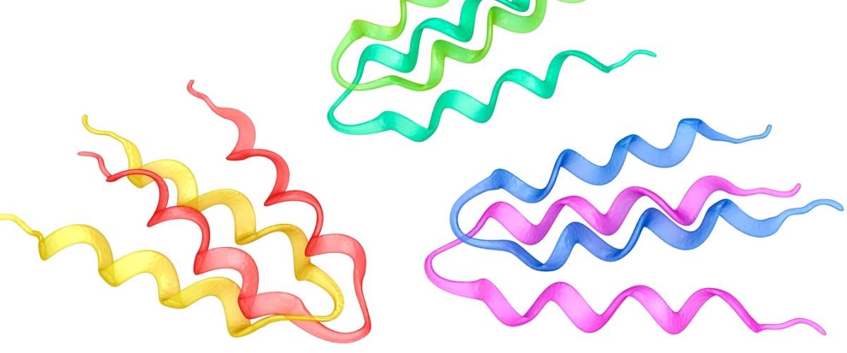 Science 101 Proteomics Morris Animal Foundation