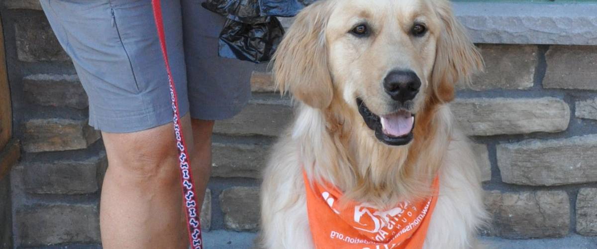 Can Dogs Go Into Costco