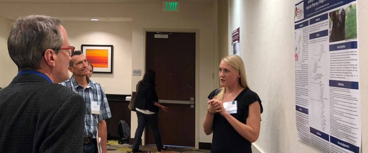 Morris Animal Foundation Veterinary Student Scholar