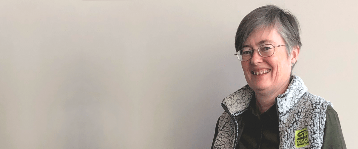 Janet Patterson-Kane
