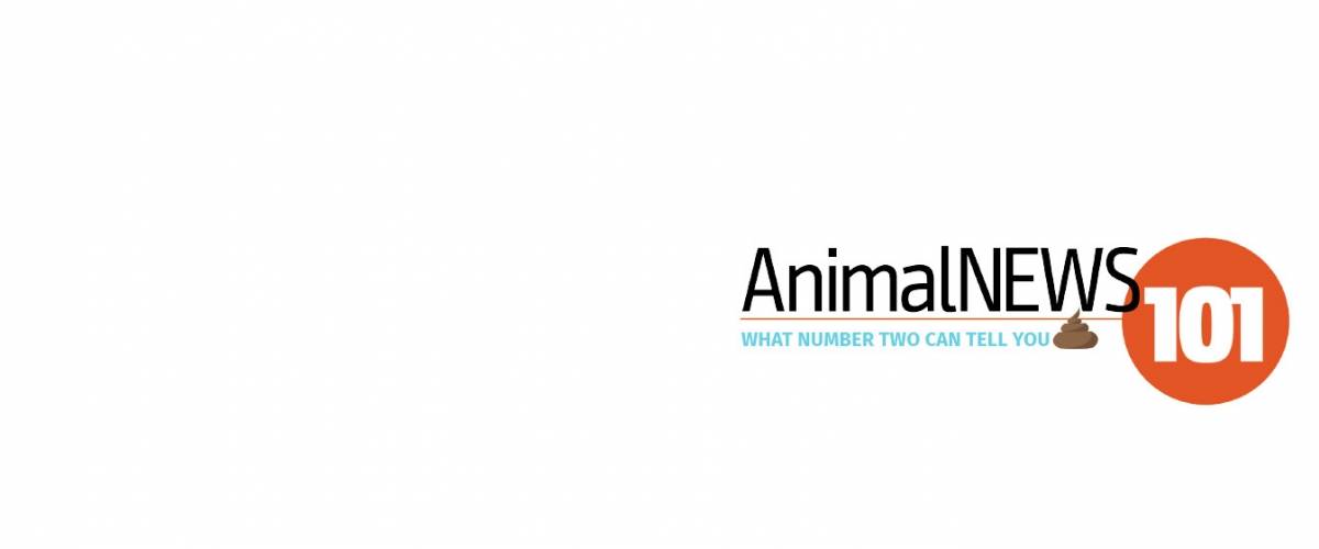 AnimalNEWS Webinar