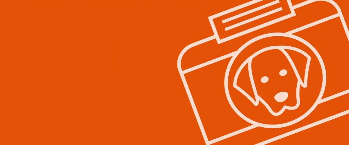 Icon of camera and dog