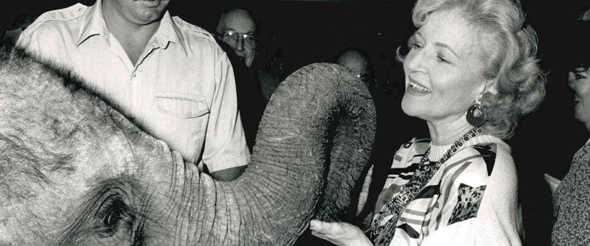 Betty White with an elephant