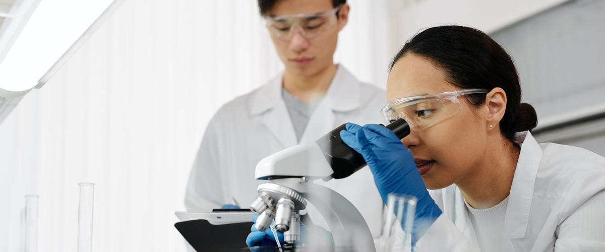 person looking at microscope