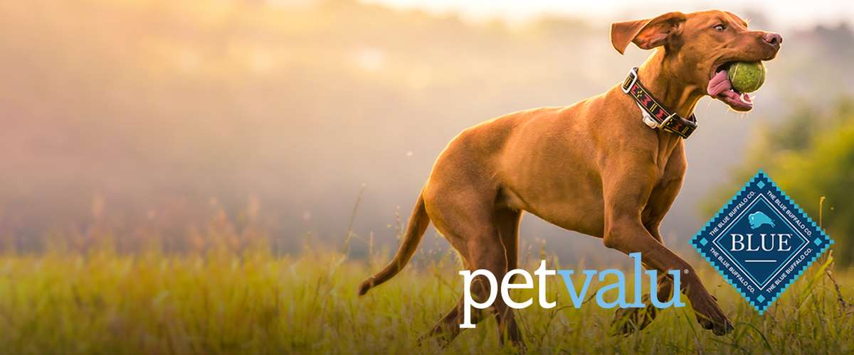 Pet valu blue buffalo online