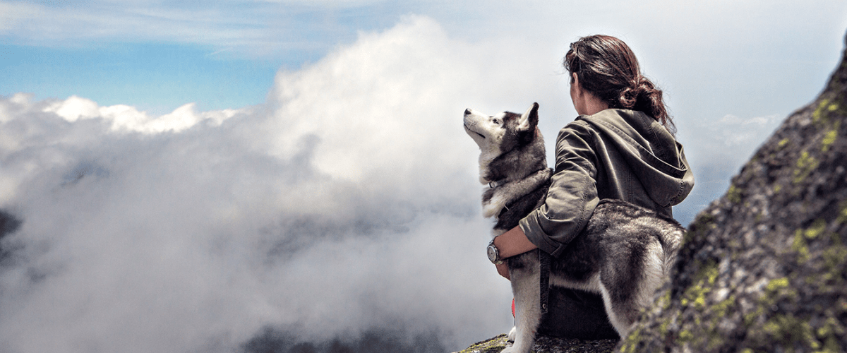 Woman in a jacket hugging a husky dog looking at a cloud on a mountainside