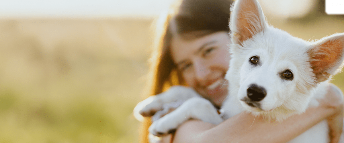 A woman lovingly hugs her white dog in a sunlit field, highlighting the bond between pets and their people.