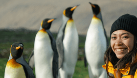 Research student with penguins
