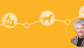 Bette M. Morris Data Commons & Biorepository - Golden Retriever Lifetime Study Morris Animal Foundation