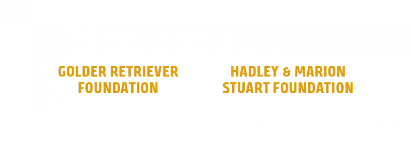GRLS Gold Sponsors