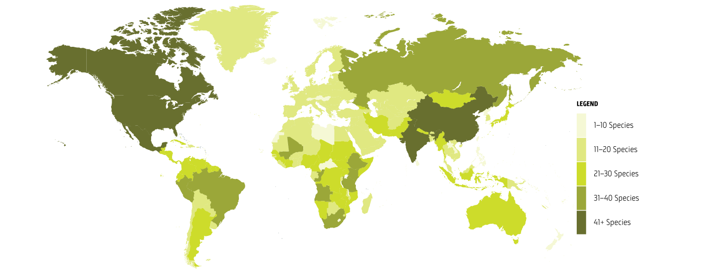 Global impact map_species by country