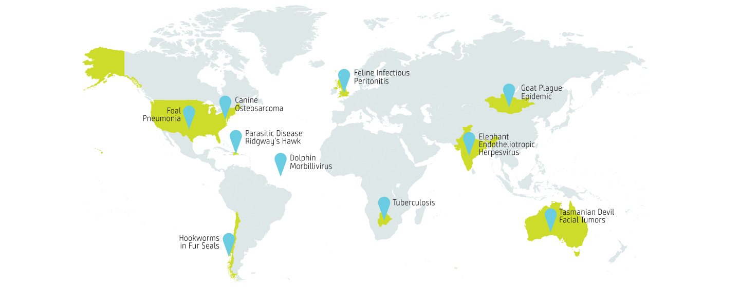 Top 10 diseases studied