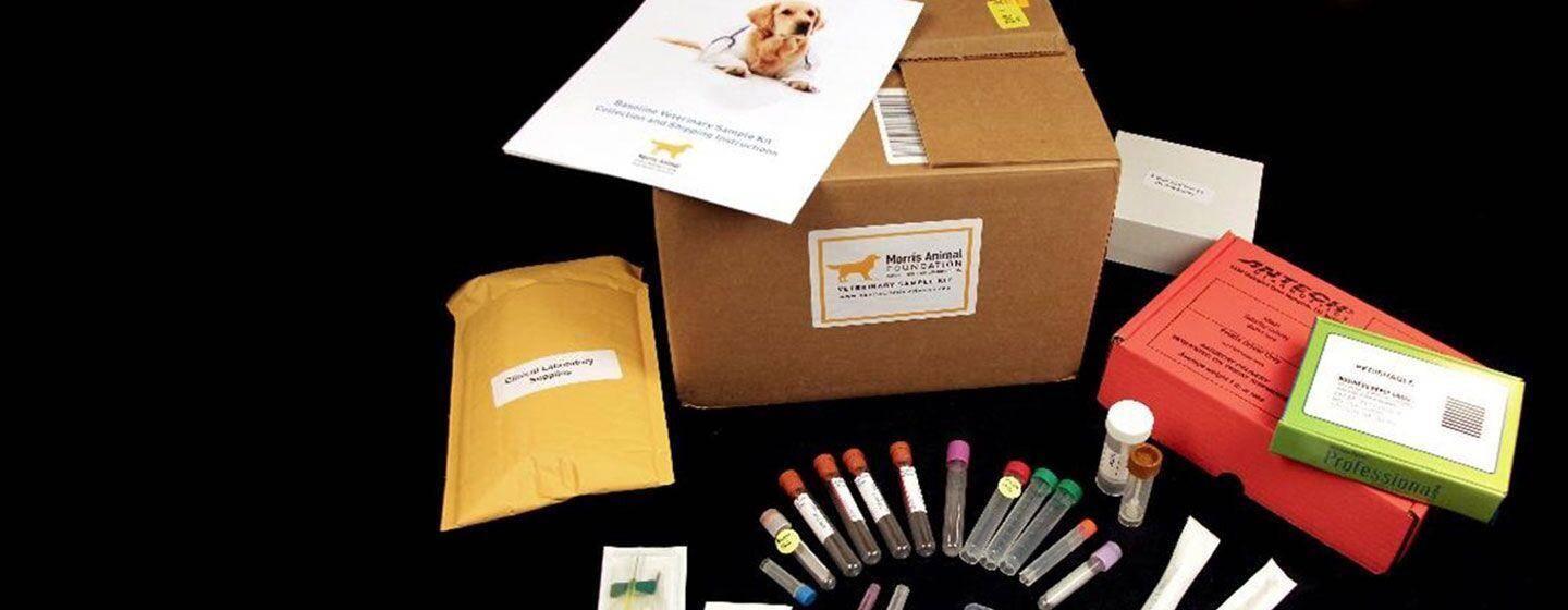 golden retriever lifetime study_kit overview