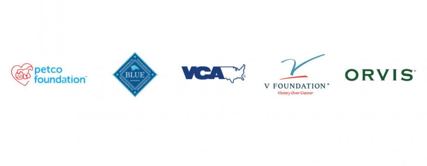 Platinum Partners